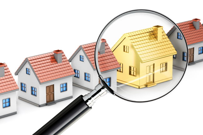 The different types of building inspection services we offer